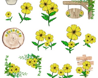 Daisy stickers, journal and planning stickers, sticker collecting