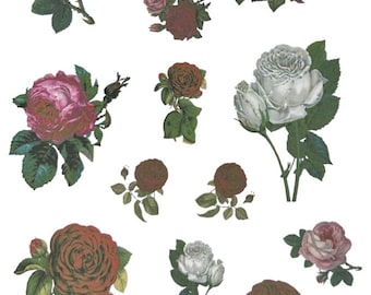 Roses Stickers, Journal and Planning Stickers, Roses