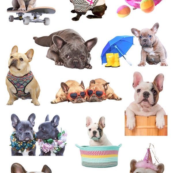 French Bulldog Photo Sticker Planner Journal Stickers French Bulldog