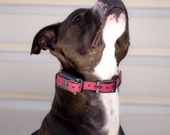 Quick Release Bungee E-Collar Strap | E-Collar | Dog Accessories | Collar | Dog Collars | Custom Dog Collar | Dog Training |