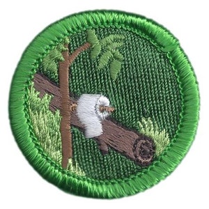 Improvised Restroom Merit Badge