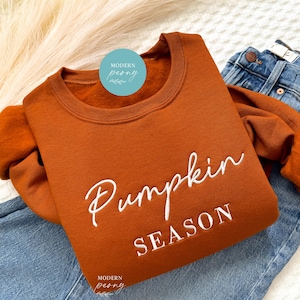 May include: A rust-coloured sweatshirt with the text "Pumpkin Season" embroidered in white.