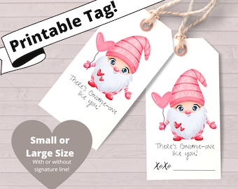 Printable Valentine Card for kids, There's Gnome-one Like You! , digital download,  Valentine Gift Tag, Instant Download PDF