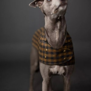 Dog Coat / Printed Sewing Pattern