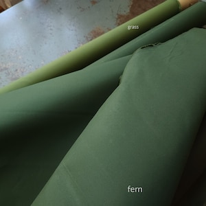 Dry Organic Cotton Oilskin / Fern