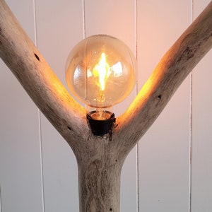 Unique Y-Shaped Driftwood Lamp: Rustic Table Lamp, Australian Coastal Decor