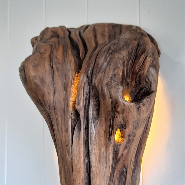 Lámpara de pared decorativa única de madera a la deriva, lámpara de pared Driftwood marrón australiana, arte de lámpara Driftwood, lámpara natural única, apliques Driftwood