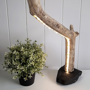 May include: A wooden lamp with a natural driftwood finish and a black slate base. The lamp has a built-in LED light strip that illuminates the wood.