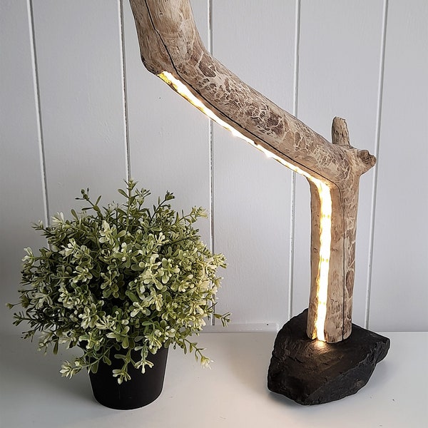Lámpara de madera a la deriva con tira de luz LED oculta en base de piedra, increíble lámpara de mesa de madera a la deriva australiana, lámpara de mesa rústica natural