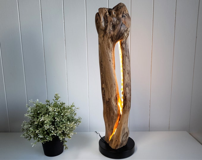 Natural Wood Lamp With Concealed Light, Amazing Australian Driftwood