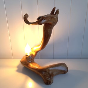 Dragon Head Driftwood Table Lamp: Australian Coastal Art