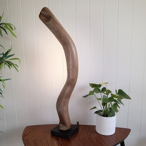 Puede incluir: Una lámpara de mesa de madera con una base de rama natural, curvada, de color marrón claro. La lámpara está sobre una mesa de madera marrón oscuro con una planta blanca en una maceta blanca a la derecha.