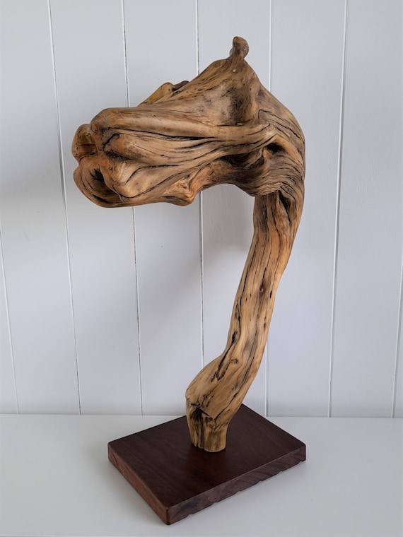 Natural Courage | Wooden Horse Head Sculpture | Driftwood