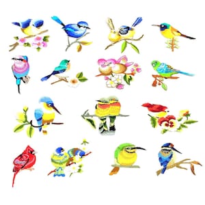 Può includere: Una collezione di toppe ricamate di uccelli in vari colori, tra cui blu, giallo, rosso e verde. Ogni toppa raffigura una diversa specie di uccello appollaiata su un ramo con fiori. Le toppe sono dettagliate e colorate, adatte per il fai-da-te o l'abbellimento.