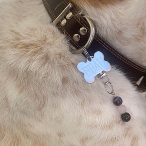 Peaceful Courage Pet Charm