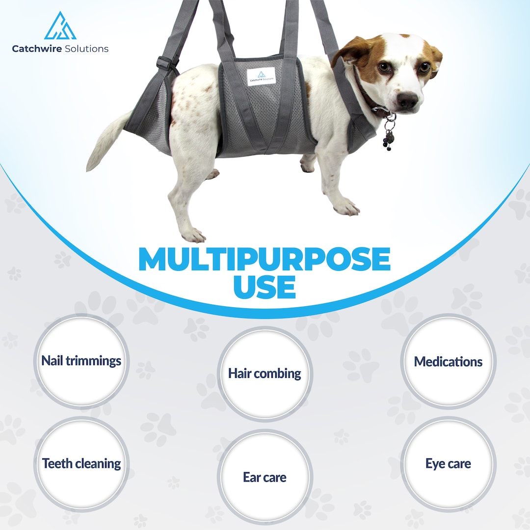 Dog Grooming Hammock for Dogs and Cats/grooming Supplies/nail Clippers