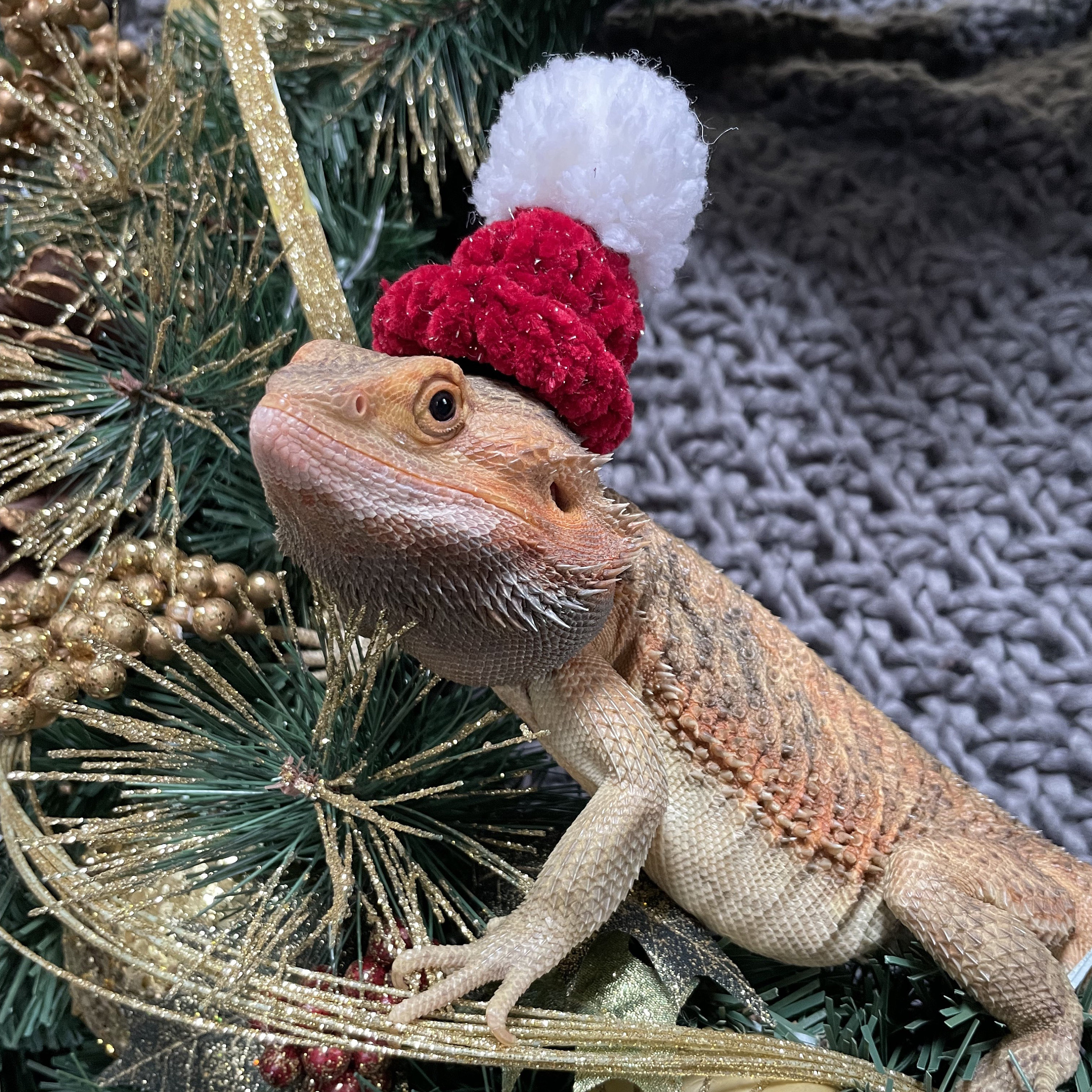 Bearded Dragon Hat, Lizard Costume, Reptile Hat, Crochet Knitted Hat ...
