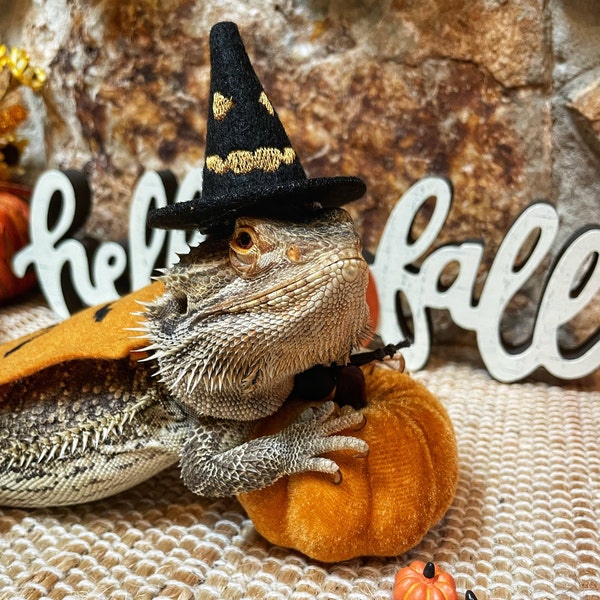 Halloween costume for Bearded Dragons, Lizards, Witch Hat for Bearded Dragon, Cape for Bearded Dragon