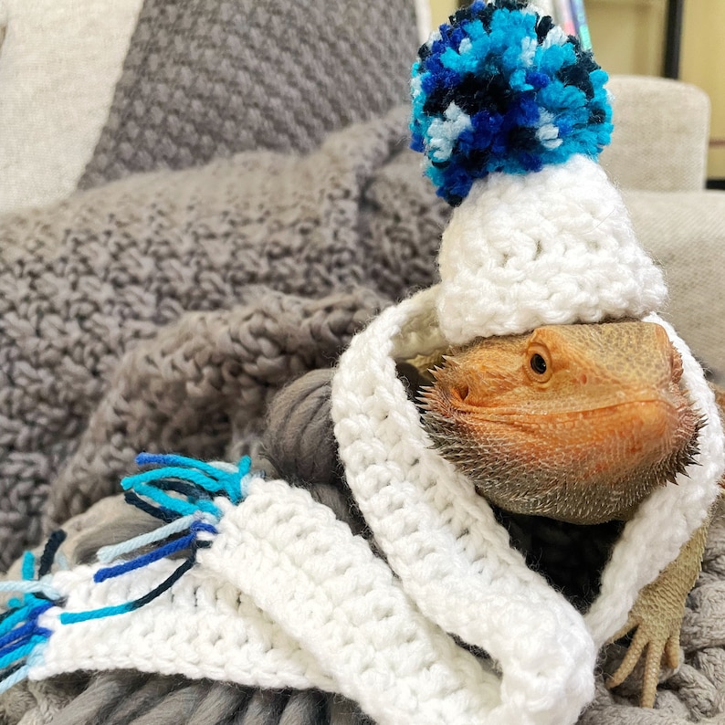 Bearded Dragon Hat Lizard Costume Reptile Hat Crochet Etsy