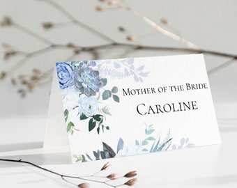 Sky blue Wedding Place Cards, Pastel blue name Cards, Wedding Place Settings, Table Place Names, Place Name Cards, Light Blue  Table Cards