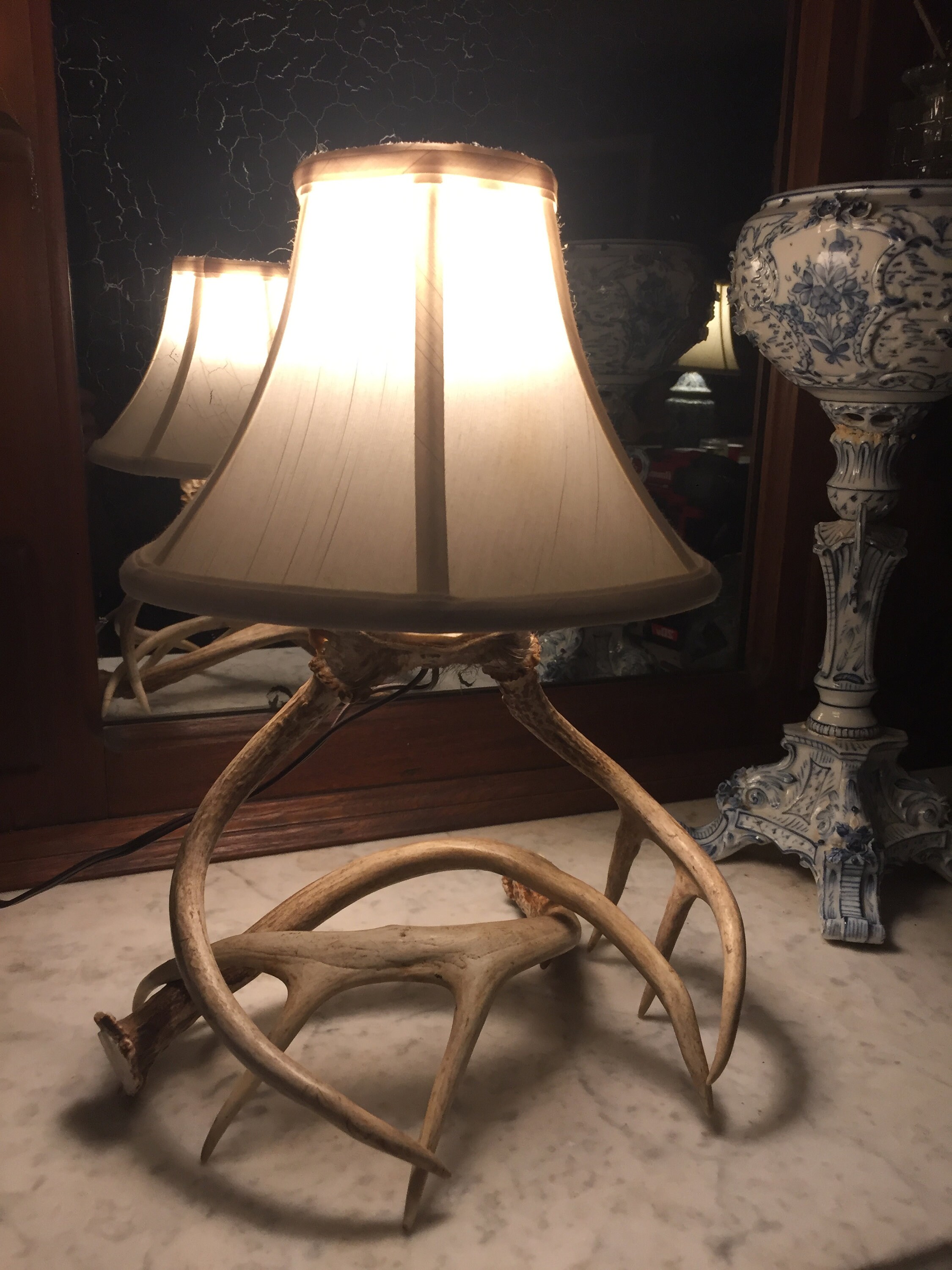 Deer antler lamp
