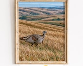 Wild Turkey Tom Prairie Landscape, Rustic Hunting Lodge Printable Wall Art (Digital Download) 100