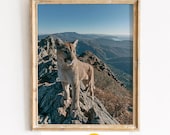 Majestic Mountain Lion, Wilderness Peak Landscape Printable Wall Art (Digital Download) 9