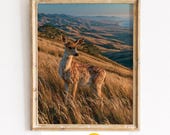 Coastal Hillside Black Tailed Deer, Golden Grass Landscape Printable Wall Art (Digital Download) 79