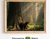 Black Bear and Ancient Redwood Forest Printable Wall Art (Digital Download) 213