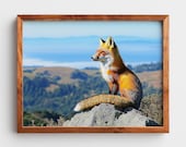 Red Fox on Mountain Summit, Wildlife Landscape Printable Wall Art (Digital Download) 21