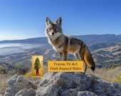 Samsung Frame TV Art, Coyote Rocky Outcrop Wilderness Panorama (Digital Download) 54