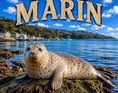 Crewneck Sweatshirt - Pacific Sea Lion - Nature Art by Discovering Marin