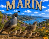 T-Shirt - Valley California Quail - Nature Art Graphic - Discovering Marin