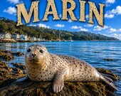 Long Sleeve Shirt - Pacific Sea Lion - Nature Art Graphic - Discovering Marin