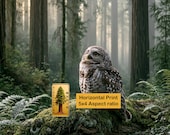 Spotted Owl Perched on Moss Log, Moody Forest Printable Wall Art (Digital Download) 197
