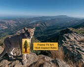 Samsung Frame TV Art, Cougar Mountain Landscape Wildlife (Digital Download) 29