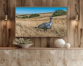 Wild Turkey Tom Strutting Golden Grassland, Samsung Frame TV Art (Digital Download) 143