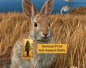 Serene Marsh Wildlife, Alert Rabbit and Egret Printable Wall Art (Digital Download) 66