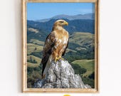 Golden Eagle on Rocky Perch, Mountain Landscape Printable Wall Art (Digital Download) 11