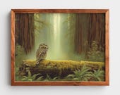 Spotted Owl on Mossy Log, Ancient Forest Printable Wall Art (Digital Download) 196