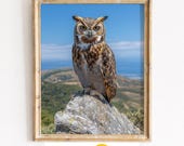 Horned Owl Mountain Summit, Coastal Landscape Wildlife Printable Wall Art (Digital Download) 34