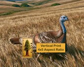 Wild Turkey in Golden Grass, Marin County Wildlife Print (Digital Download)