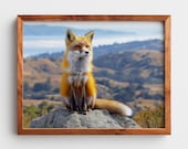 Red Fox on Granite Summit, Mountain Wildlife Printable Wall Art (Digital Download) 22