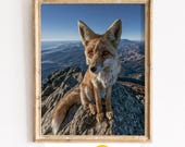 Bold Red Fox Mountain Summit Printable Wildlife Wall Art (Digital Download) 6