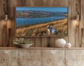 White Rabbit Lake Landscape Samsung Frame TV Art Nature Wildlife (Digital Download) 72
