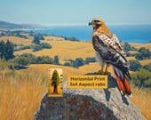 Wildlife Hawk on Boulder, Golden Hills Coastal Landscape Printable Wall Art (Digital Download) 119