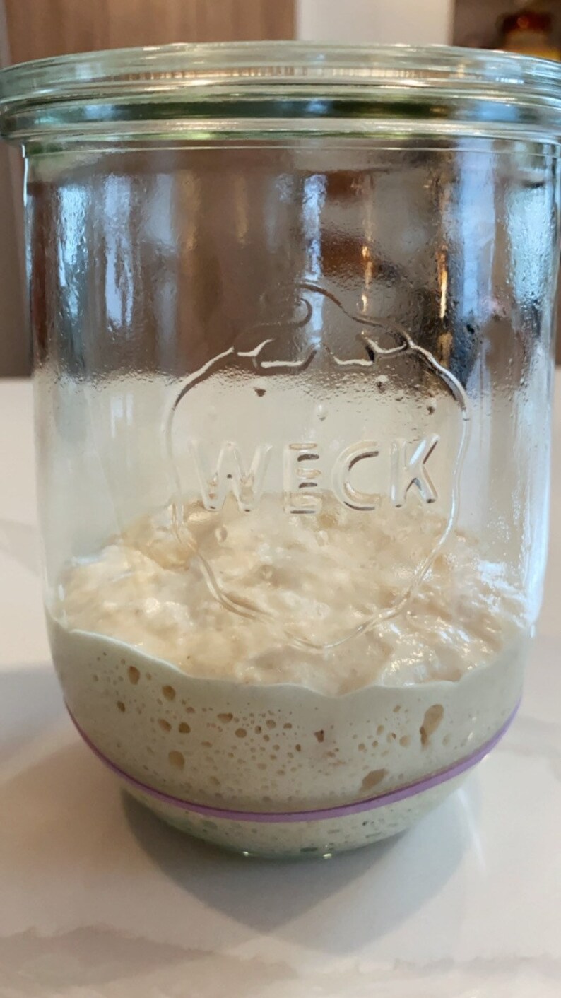 Dehydrated Sourdough Starter & Digital Bread Recipe Organic Unbleached