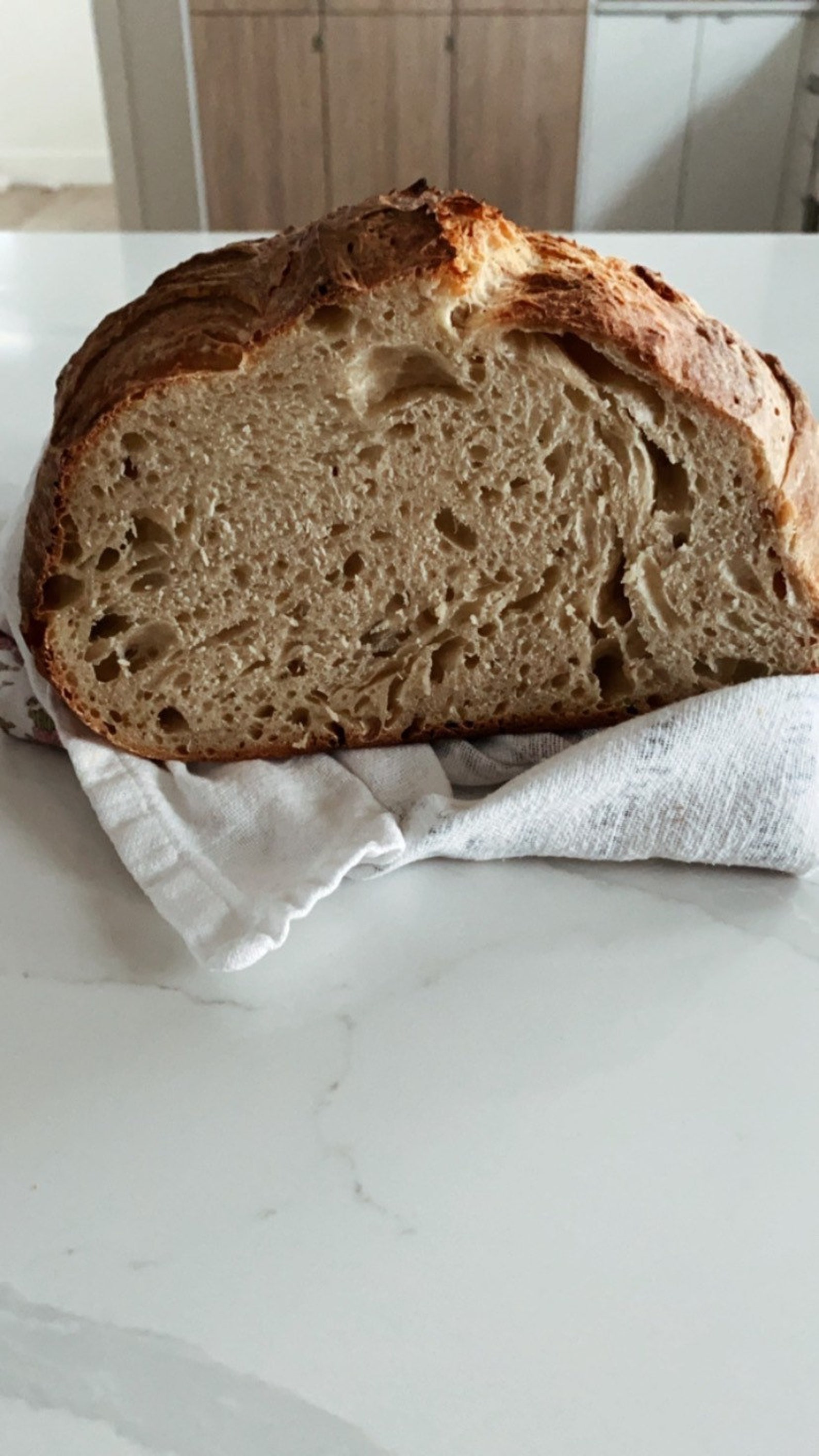 Dehydrated Sourdough Starter & Digital Bread Recipe Organic Unbleached