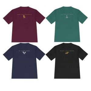 Sport Wizarding School House T-Shirt, HP House Shirt, Universal Vacation T-Shirt, Wizard World Gift, Vintage Wizard Houses Shirt