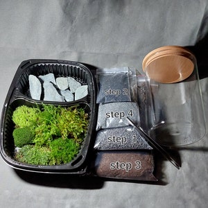 DIY Nano Mossarium Стартовый набор, Микро Террариум Комплект, Стартовый комплект, Создайте свой террариум